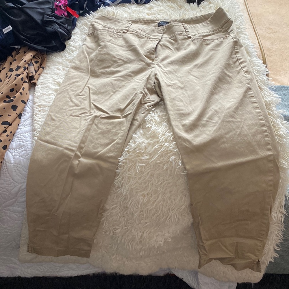 NY&Company khaki capris